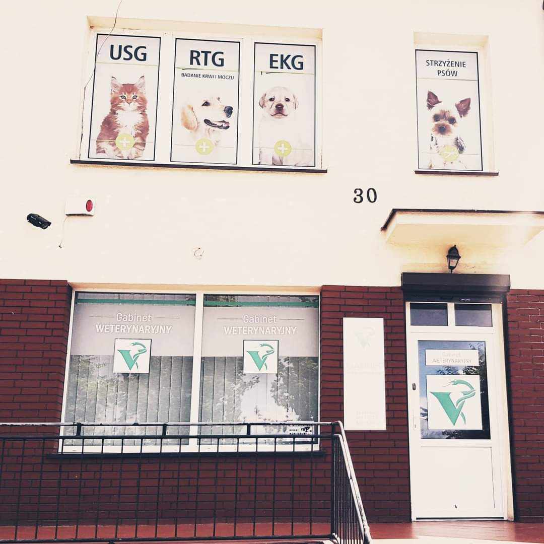Gabinet Weterynaryjny Cito