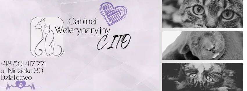 Gabinet weterynaryjny Cito